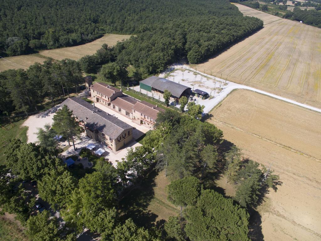 Agriturismo San Galgano Villa Chiusdino Exterior photo