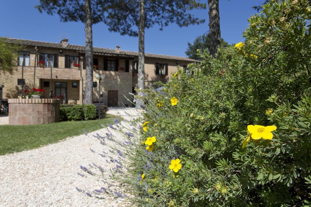 Agriturismo San Galgano Villa Chiusdino Exterior photo