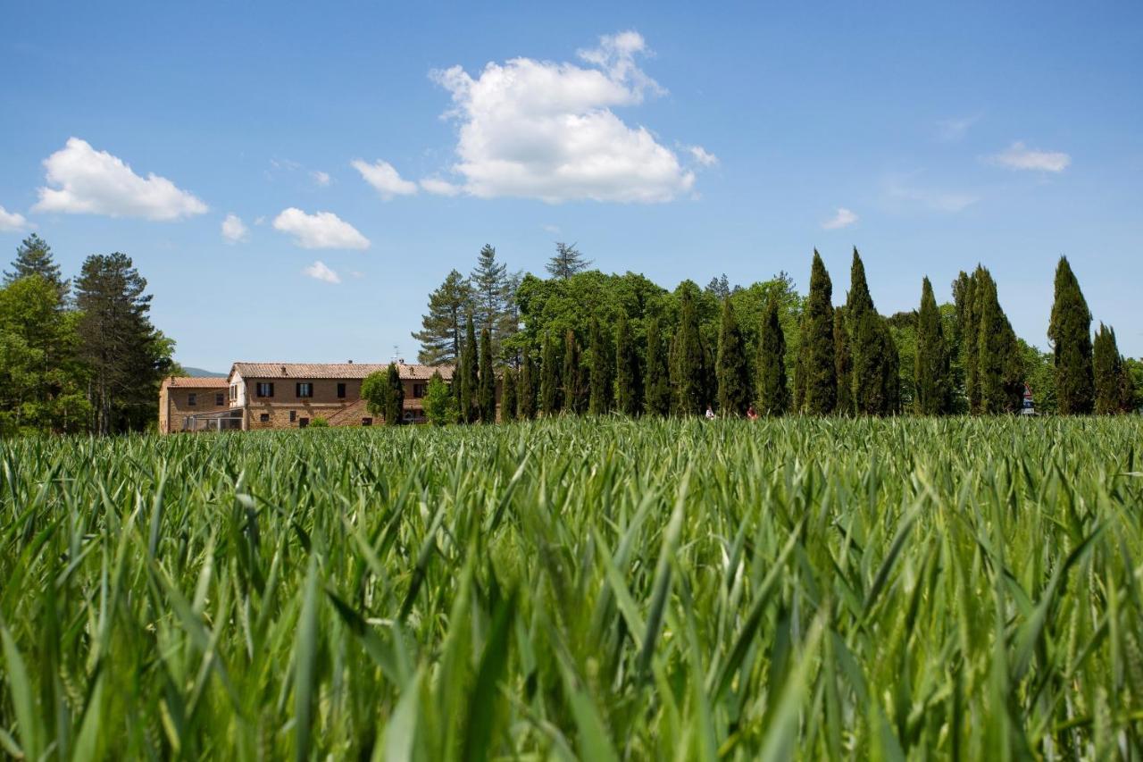 Agriturismo San Galgano Villa Chiusdino Exterior photo