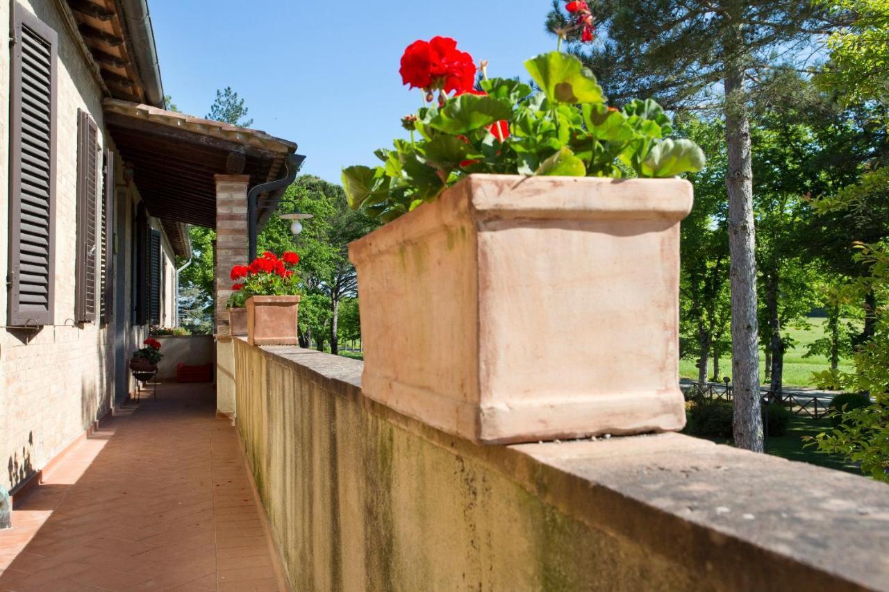 Agriturismo San Galgano Villa Chiusdino Exterior photo